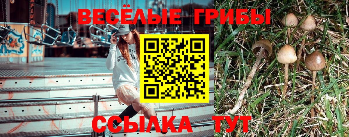 что такое наркотик  Вход с VPN  Балаково  Псилоцибиновые грибы Magic Shrooms 
